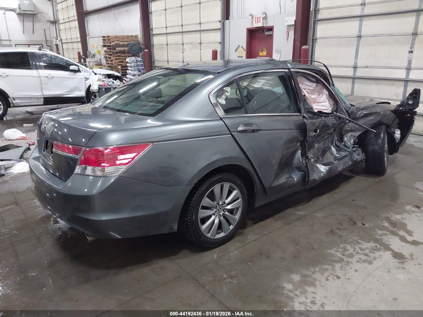 2011 Honda Accord 2.4 Ex-L