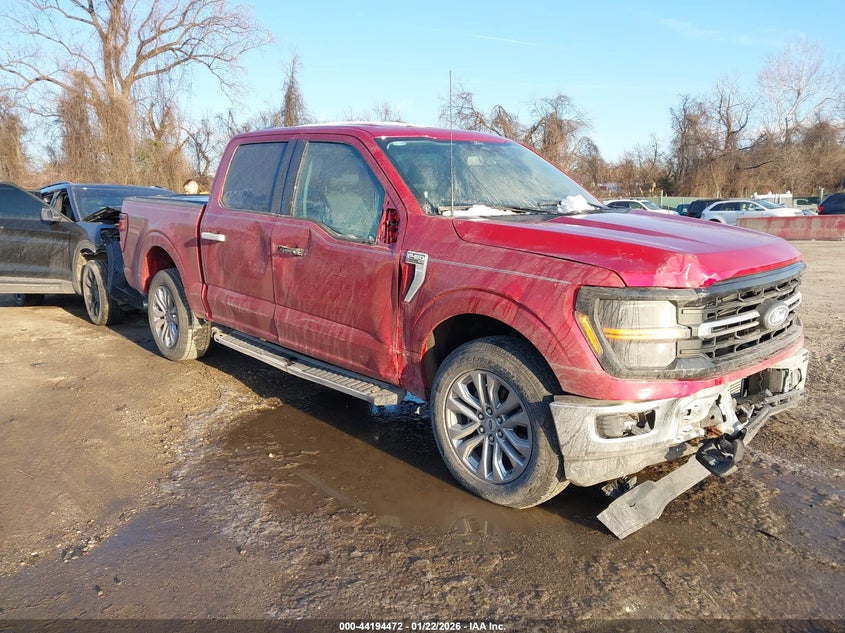2024 Ford F-150 Xlt
