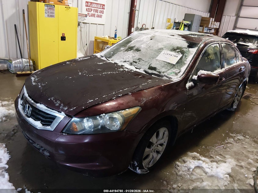 2010 Honda Accord 2.4 Ex-L