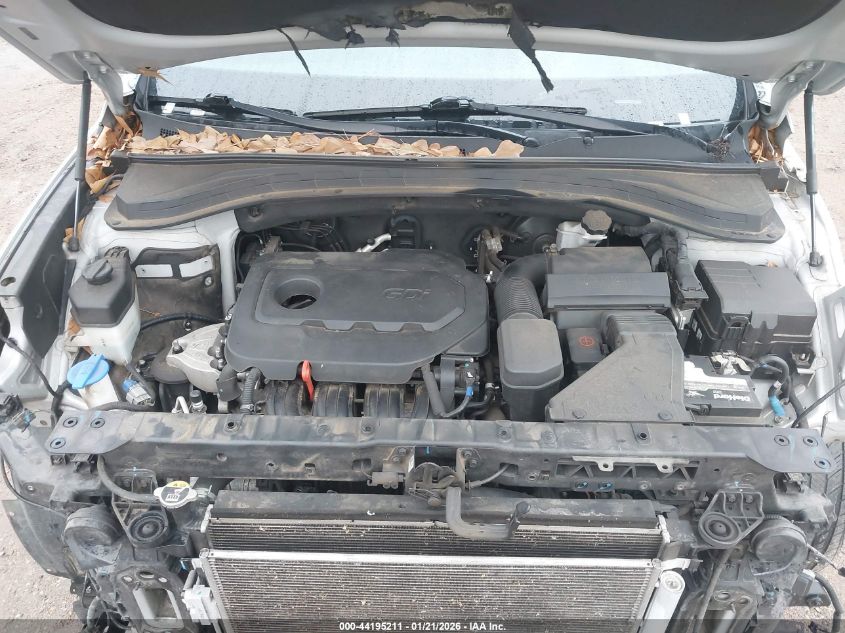 2020 Hyundai Santa Fe Sel VIN: 5NMS33AD7LH220825 Lot: 44195211