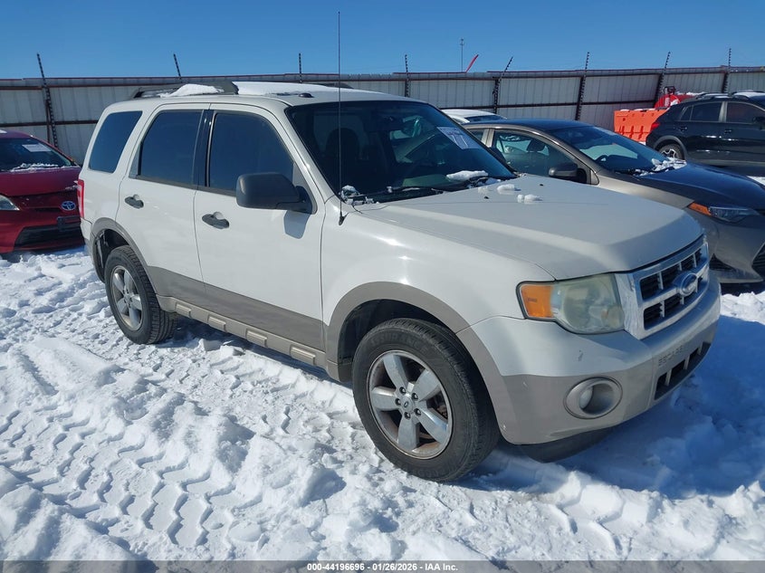 2010 Ford Escape Xlt