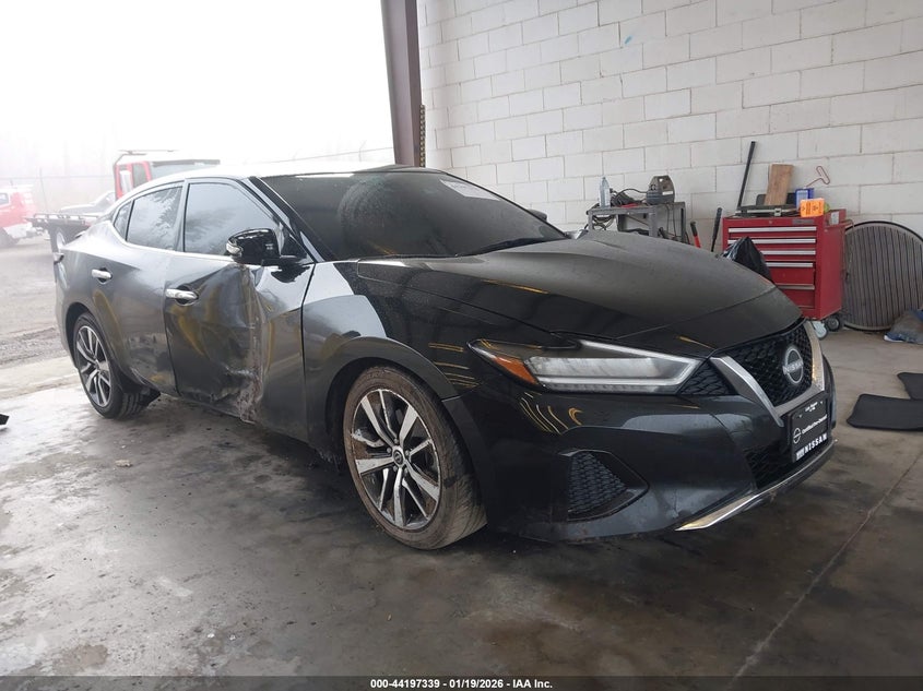 2023 Nissan Maxima Sv