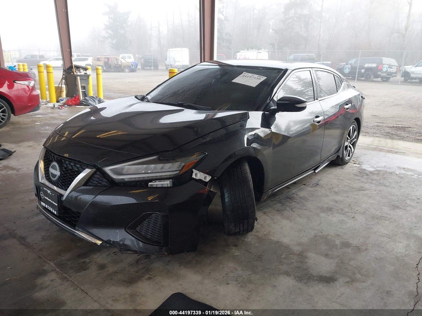 2023 Nissan Maxima Sv