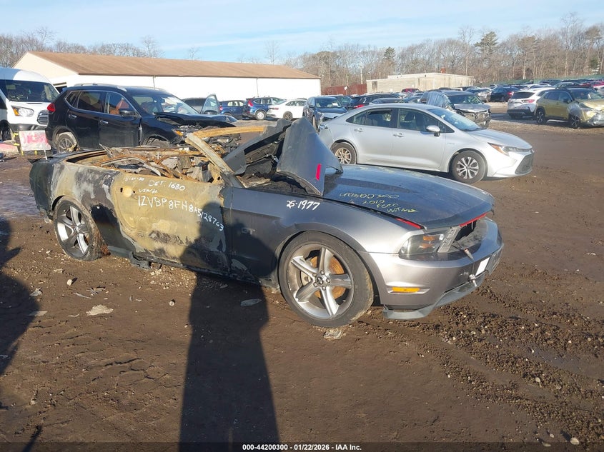 2010 Ford Mustang Gt/Gt Premium