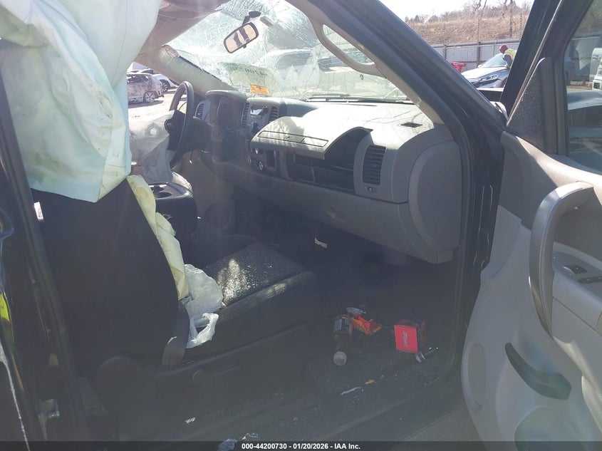 2010 Chevrolet Silverado 1500 Work Truck