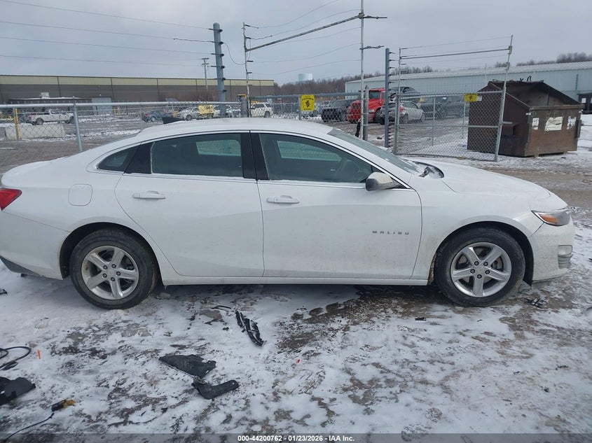 VIN 1G1ZC5ST8RF196775 2024 CHEVROLET MALIBU FWD 1FL