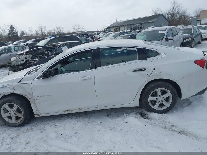 VIN 1G1ZC5ST8RF196775 2024 CHEVROLET MALIBU FWD 1FL