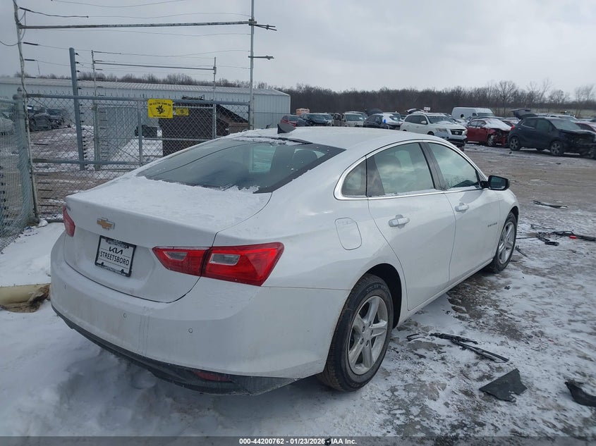 VIN 1G1ZC5ST8RF196775 2024 CHEVROLET MALIBU FWD 1FL