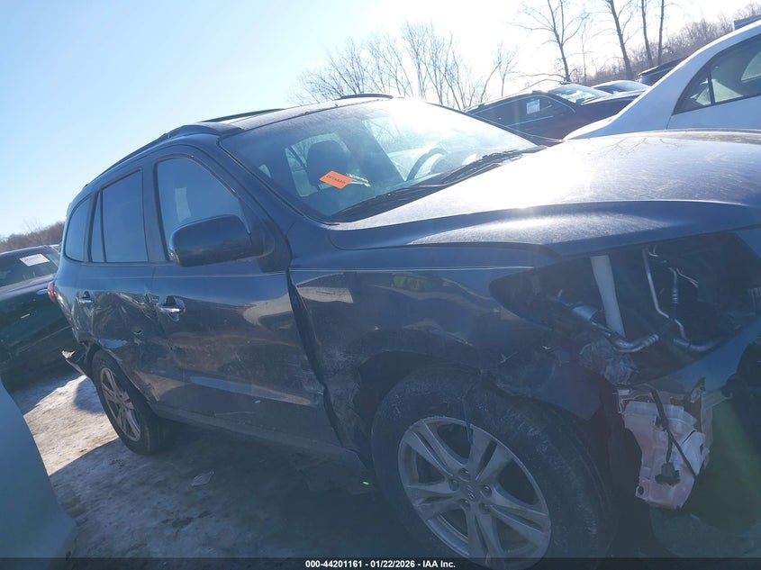 2010 Hyundai Santa Fe Limited V6 VIN: 5NMSKDAG3AH371094 Lot: 44201161