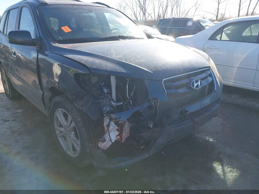 2010 Hyundai Santa Fe Limited V6 VIN: 5NMSKDAG3AH371094 Lot: 44201161