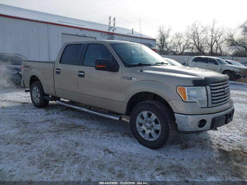 2010 Ford F-150 Fx4/Harley-Davidson/King Ranch/Lariat/Platinum/Xl/Xlt