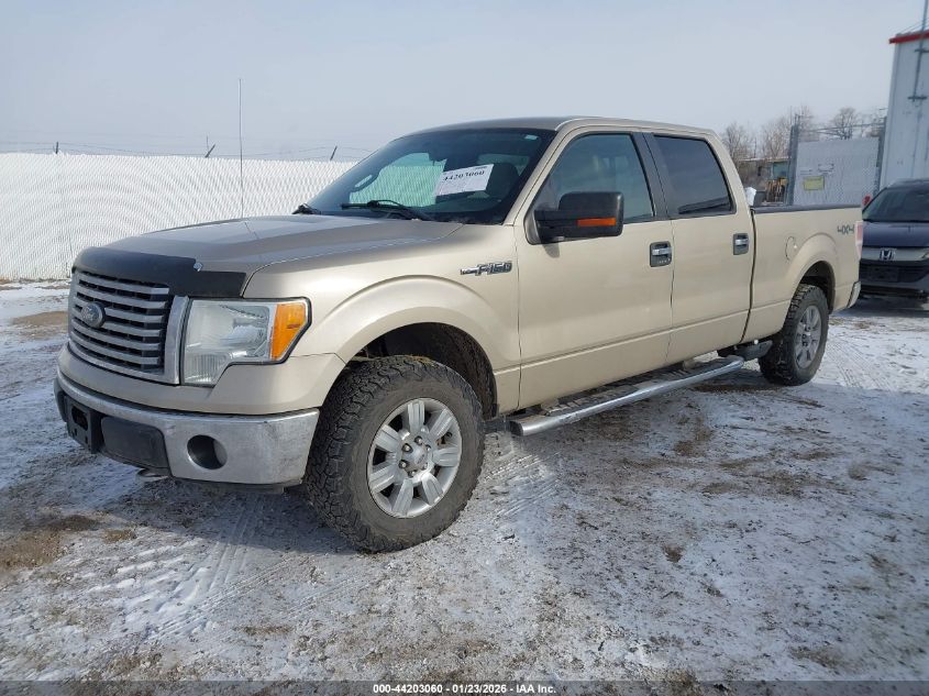 2010 Ford F-150 Fx4/Harley-Davidson/King Ranch/Lariat/Platinum/Xl/Xlt