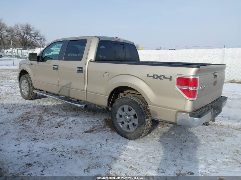 2010 Ford F-150 Fx4/Harley-Davidson/King Ranch/Lariat/Platinum/Xl/Xlt