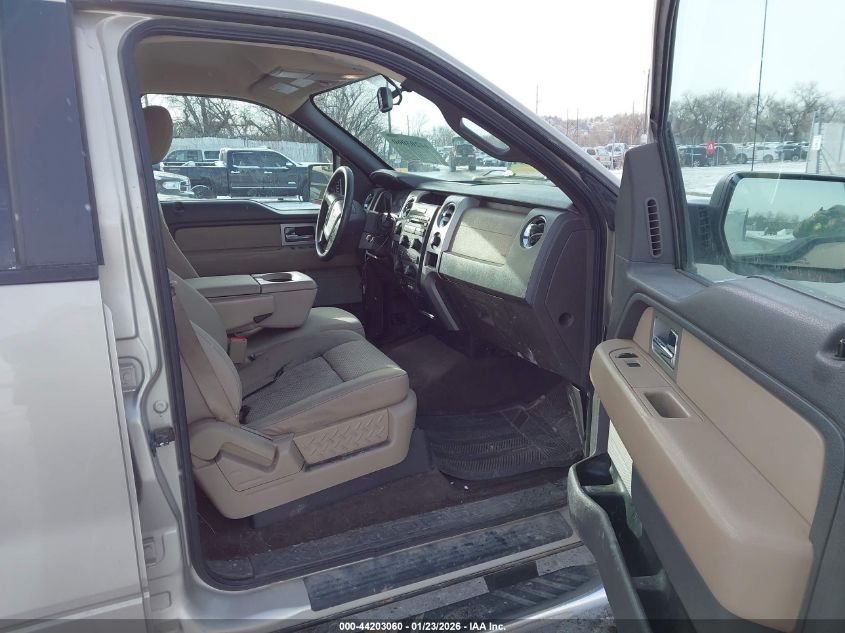 2010 Ford F-150 Fx4/Harley-Davidson/King Ranch/Lariat/Platinum/Xl/Xlt