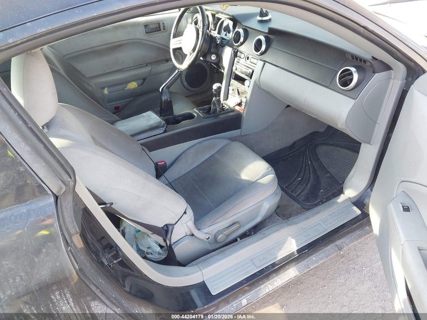 2005 Ford Mustang V6 Deluxe/V6 Premium