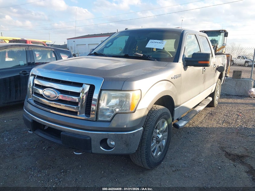 2009 Ford F-150 Fx4/King Ranch/Lariat/Platinum/Xl/Xlt