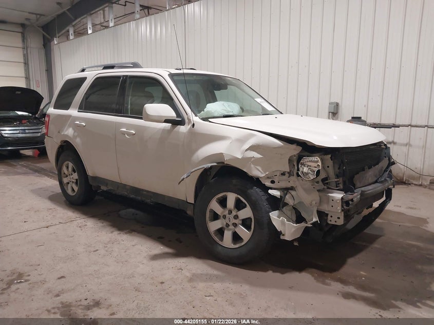 2010 Ford Escape Limited