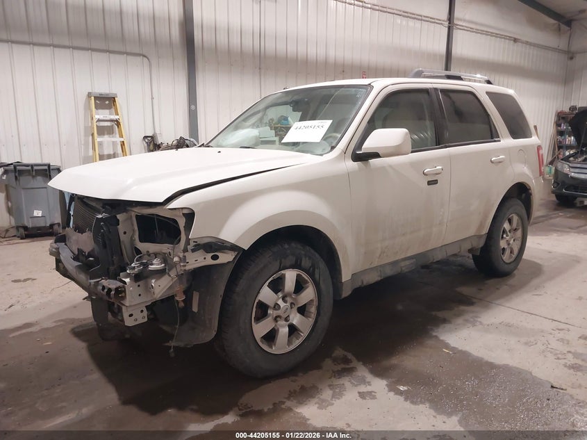 2010 Ford Escape Limited