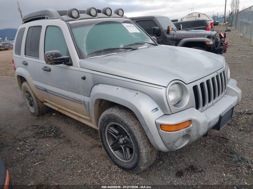 2004 JEEP LIBERTY RENEGADE