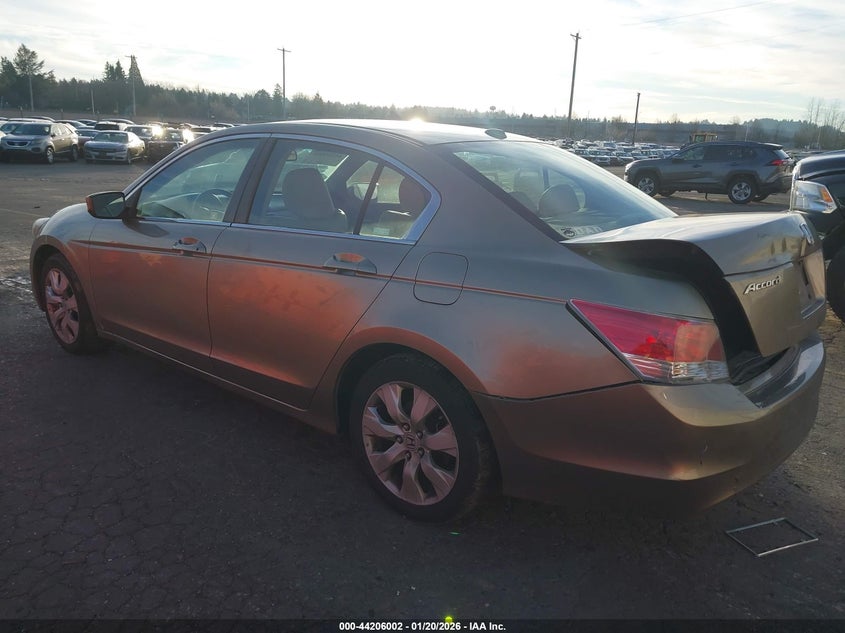 2010 Honda Accord 2.4 Ex-L