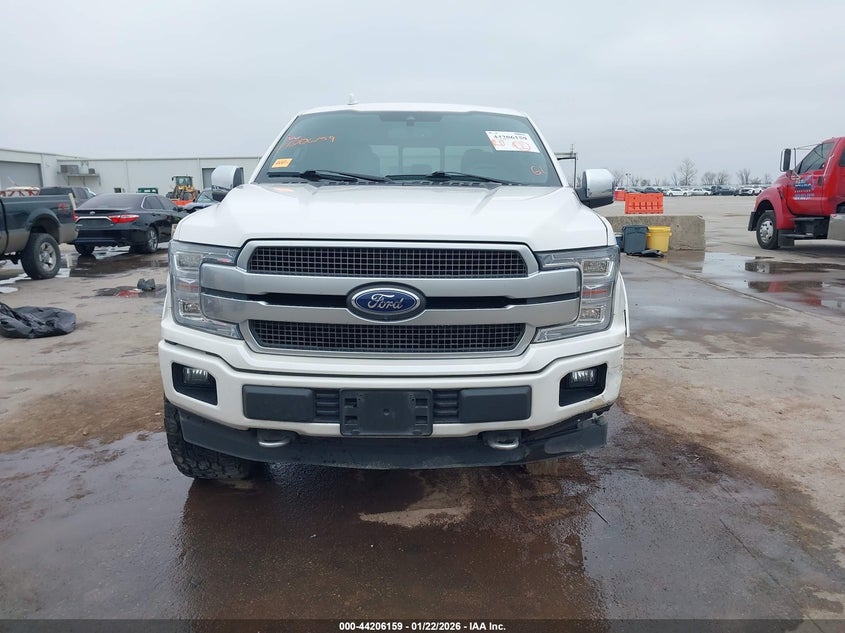 2019 Ford F-150 Platinum VIN: 1FTEW1E5XKFD13846 Lot: 44206159