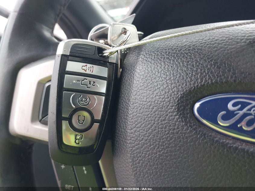 2019 Ford F-150 Platinum VIN: 1FTEW1E5XKFD13846 Lot: 44206159