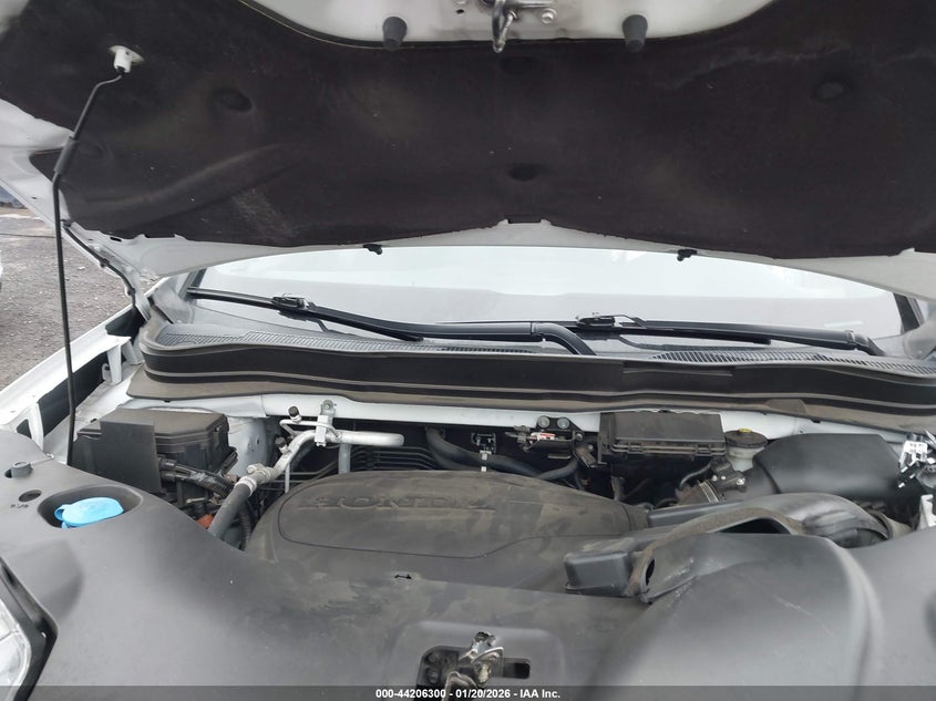 VIN 5FNYF8H02LB020244 2020 HONDA PASSPORT AWD ELITE