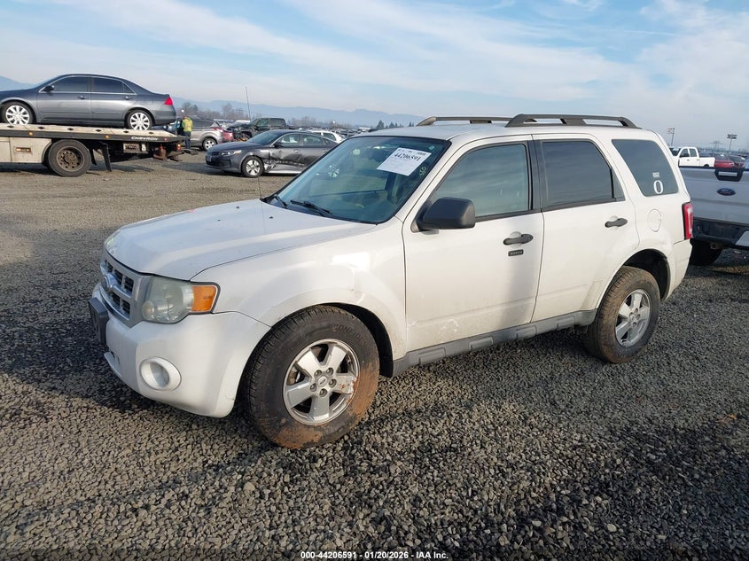 2009 Ford Escape Xlt