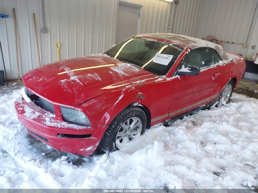 2008 Ford Mustang V6 Deluxe/V6 Premium