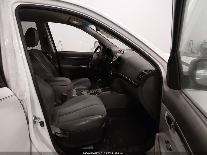 2010 Hyundai Santa Fe Se