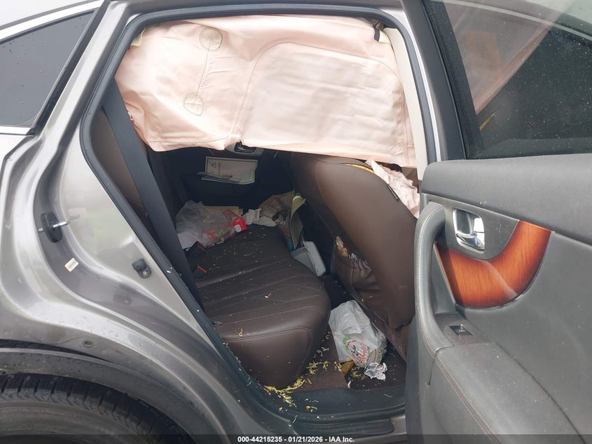 2009 Infiniti Fx50 VIN: JNRBS18W99M200186 Lot: 44215235