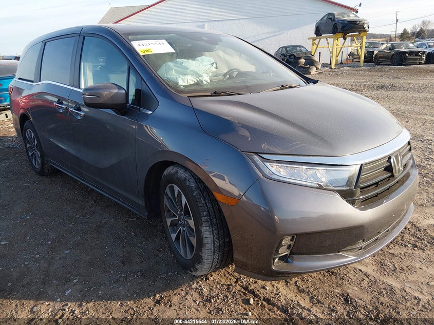 2024 Honda Odyssey Ex-L