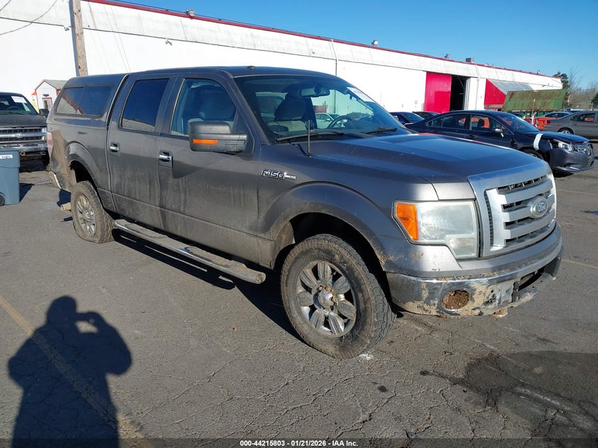 2009 Ford F-150 Fx4/King Ranch/Lariat/Platinum/Xl/Xlt
