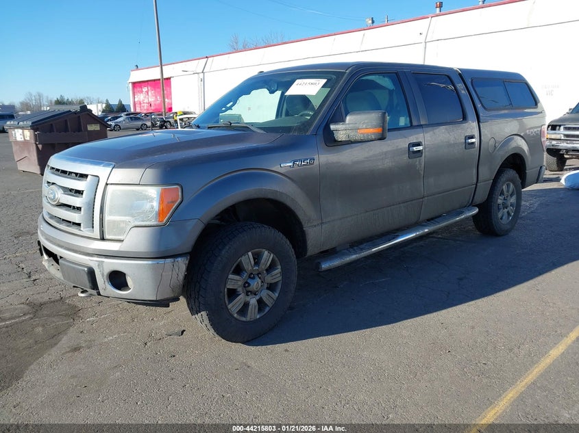 2009 Ford F-150 Fx4/King Ranch/Lariat/Platinum/Xl/Xlt