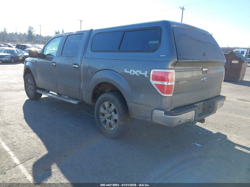 2009 Ford F-150 Fx4/King Ranch/Lariat/Platinum/Xl/Xlt