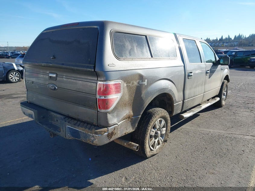 2009 Ford F-150 Fx4/King Ranch/Lariat/Platinum/Xl/Xlt
