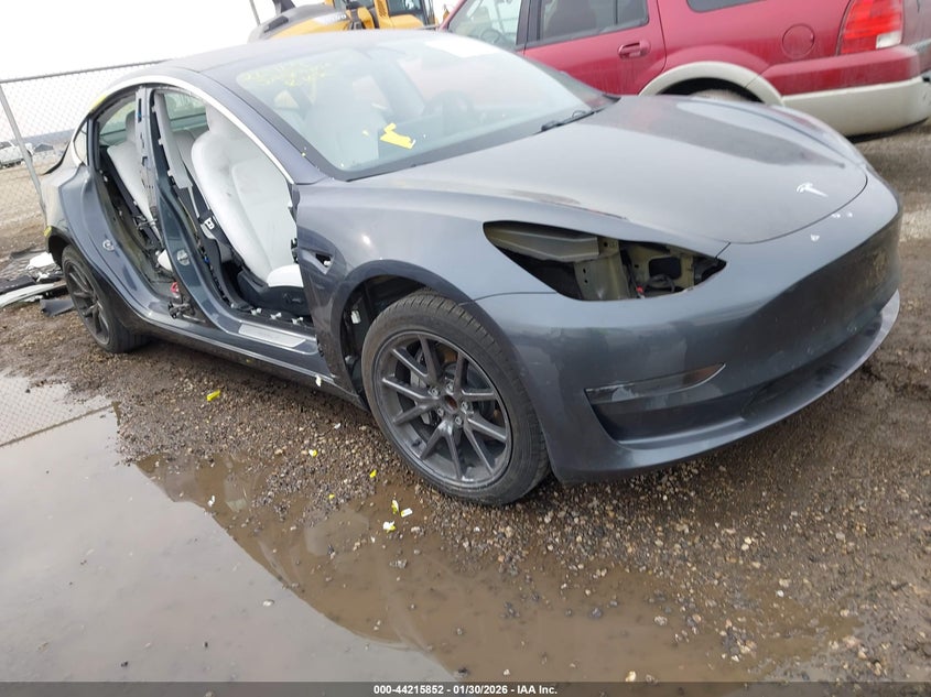 2020 Tesla Model 3 Standard Range Plus/Standard Range Rear-Wheel Drive