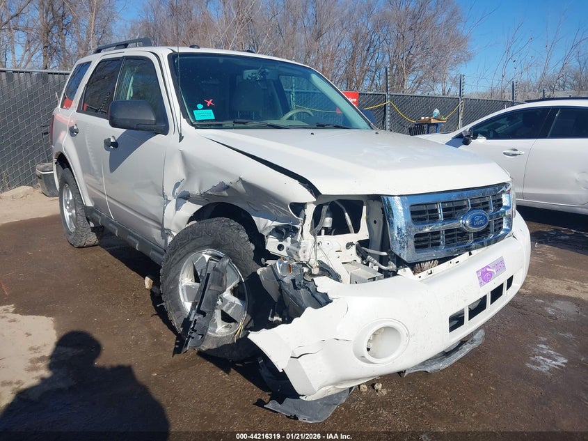 2010 Ford Escape Xlt
