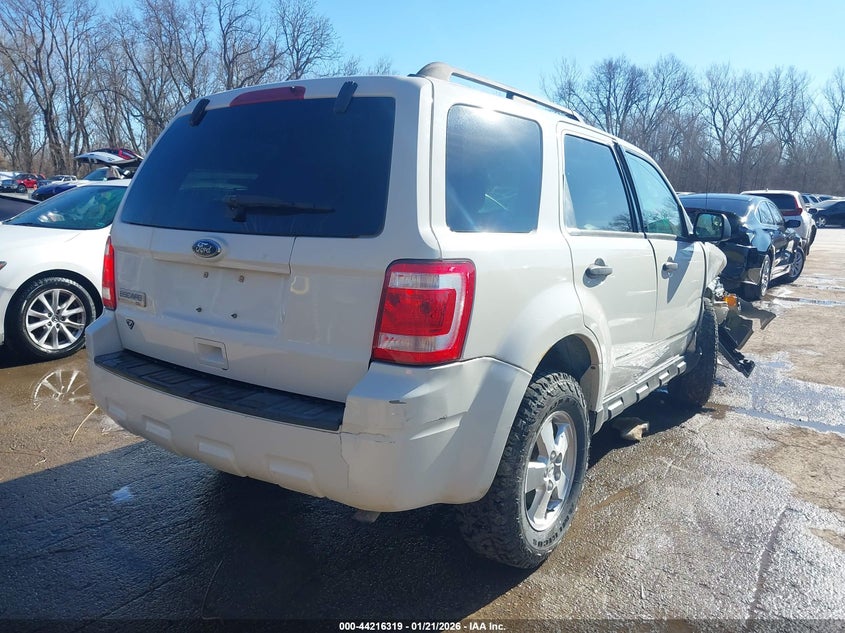 2010 Ford Escape Xlt