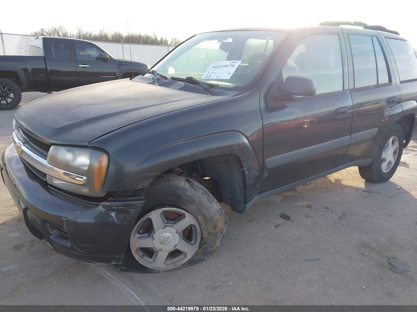2005 Chevrolet Trailblazer Ls VIN: 1GNDT13S452204461 Lot: 44219979