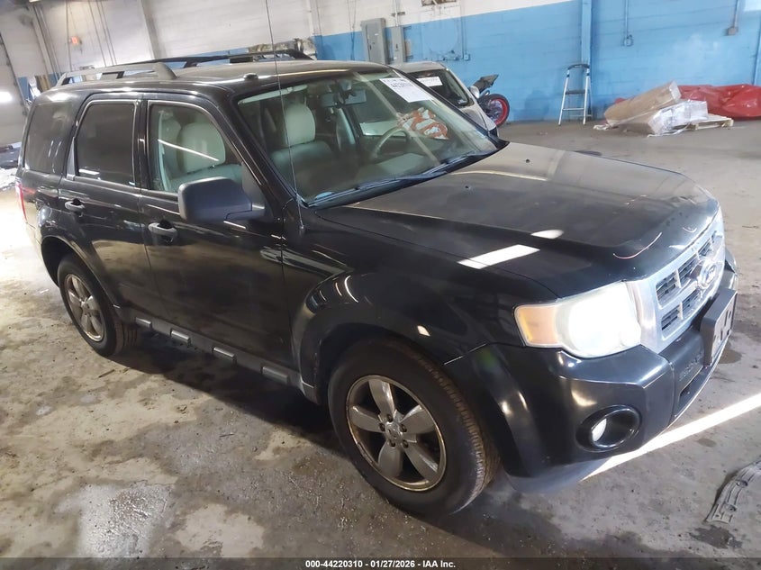 2010 Ford Escape Xlt