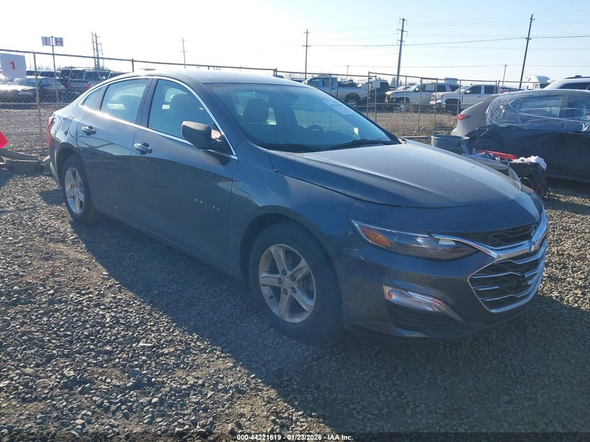 CHEVROLET MALIBU 1FL