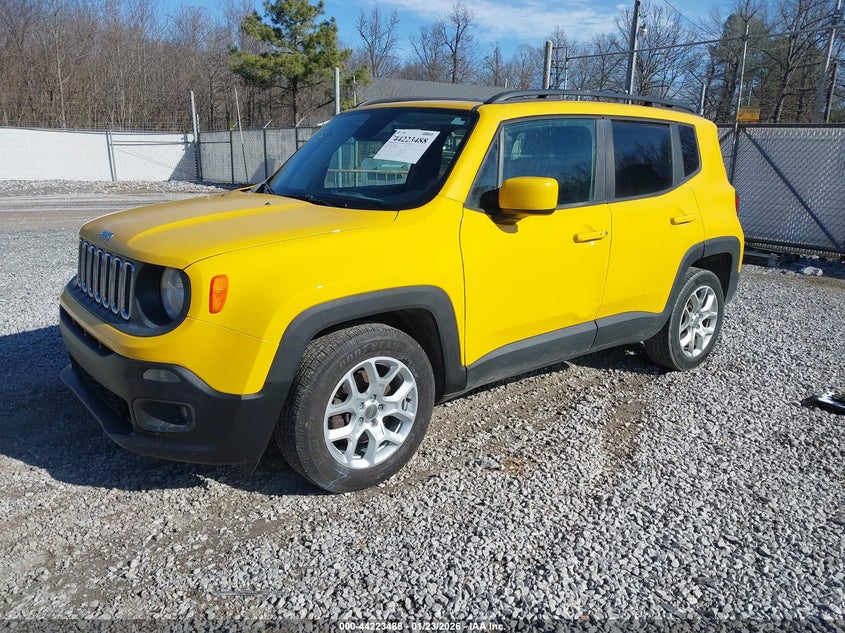 AtlanticExpress - Jeep Renegade