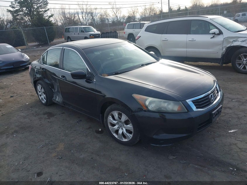 2010 Honda Accord