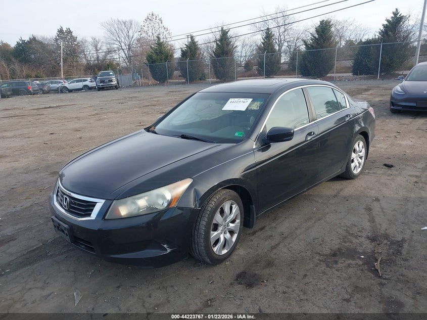 2010 Honda Accord 2.4 Ex-L