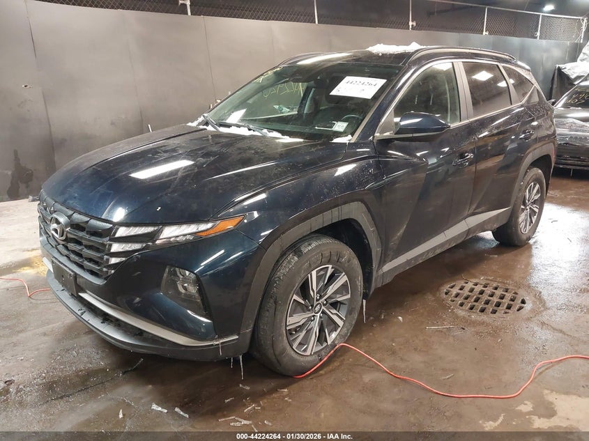 2024 Hyundai Tucson Hybrid Blue