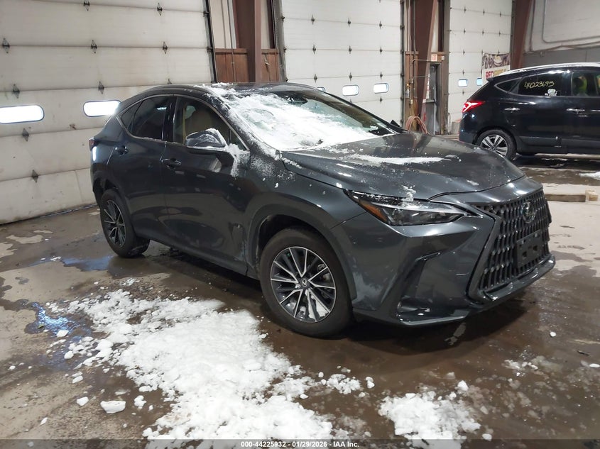 2025 Lexus Nx 350 Premium