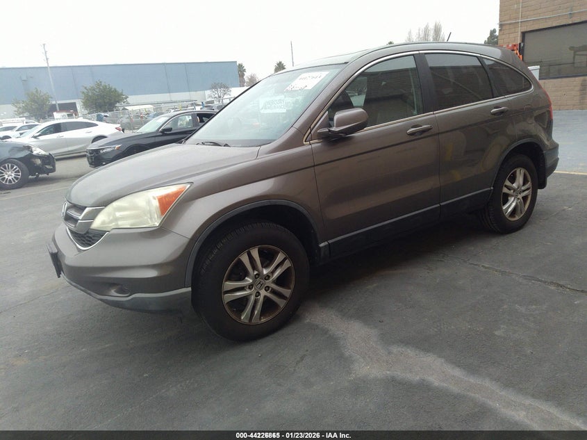 2010 Honda Cr-V Exl