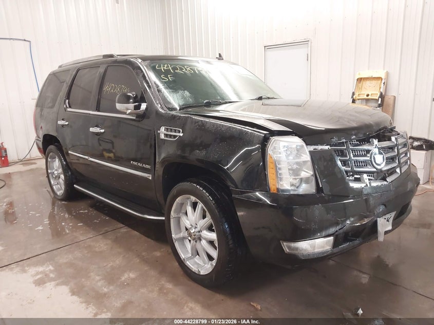 2011 Cadillac Escalade Luxury