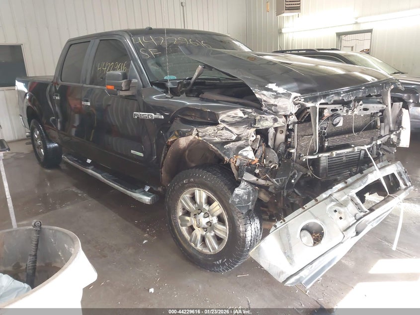 Vin: 1ftfw1et7bfa71424, lot: 44725687, ford f-150 xlt 2011 img_1